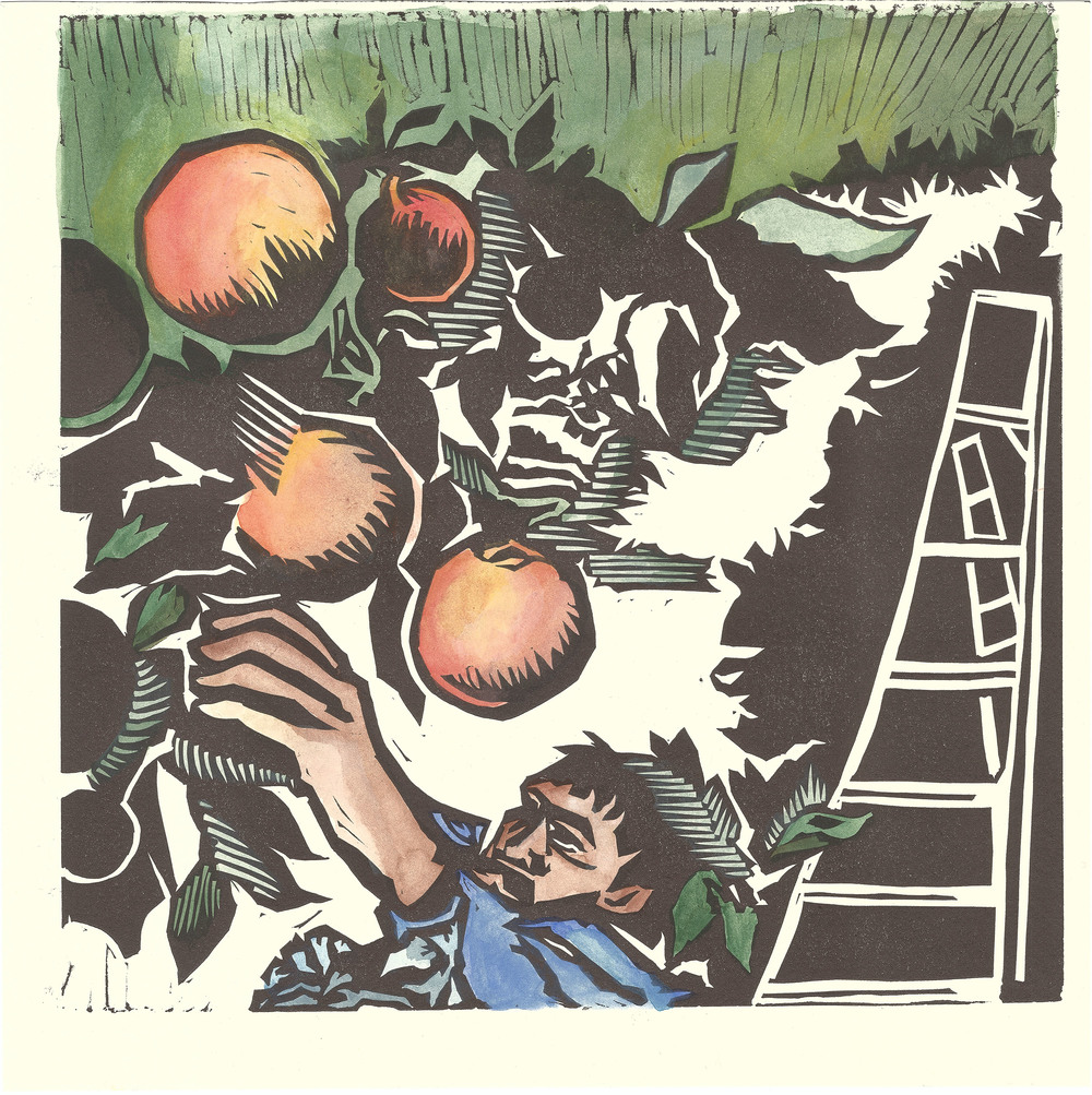 Episode 4: Founding Farmers — Japanese Growers in California