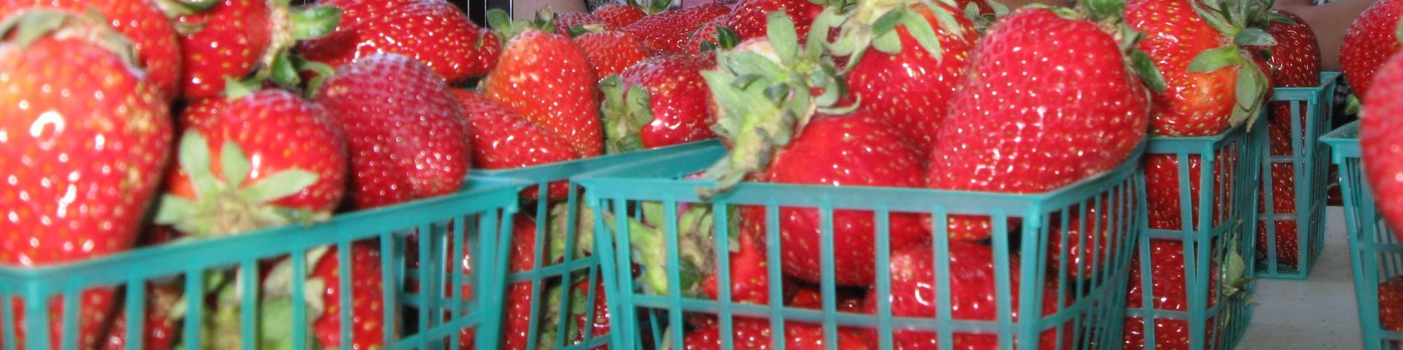 The Central Valley: Rising Like a Phoenix