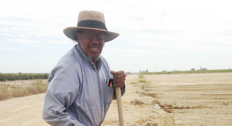 Episode 6: Still Here: Black Farmers & Agricultural Stewardship in the Modern Age